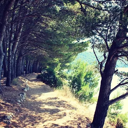 فيكتوريا موبايل هوم كامبنغ دولي-زيفوغوستشي منتزه العطل Blato (Makarska)